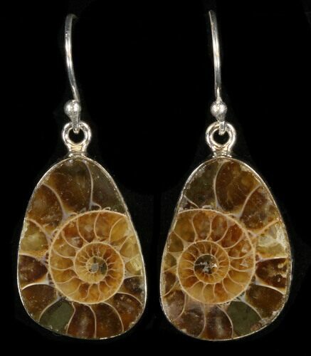 Fossil Ammonite Earrings - Sterling Silver #38130